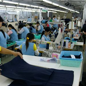 Women's career and casual sportswear