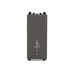 ZENcelo India - 2 Module Illuminated switch with "Make My Room" -Dark Grey