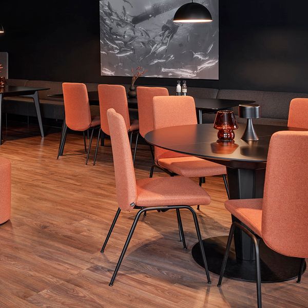 Stressless
 dining and Ekornes lounge furniture