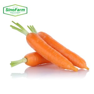 Organic Planting Fresh Vegetables Wholesale Carrot/garlic Seeds Price of Carrots/garlic