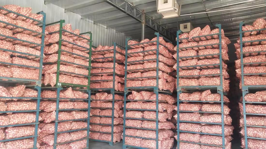 Shandong Sinofarm Food Co., Ltd. factory image 1