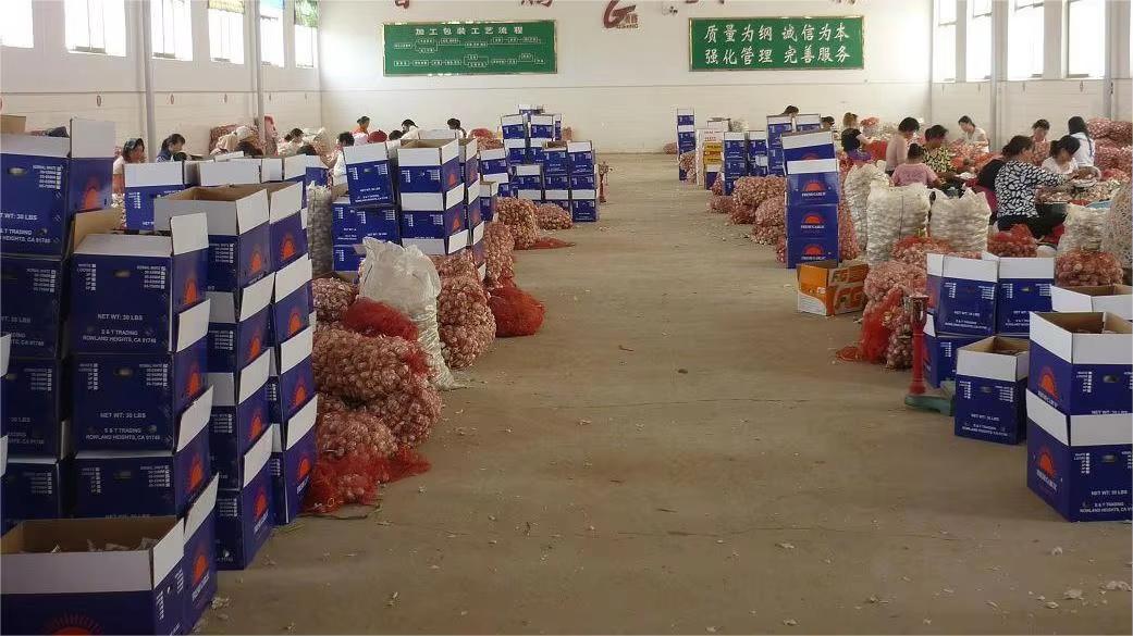 Shandong Sinofarm Food Co., Ltd. factory image 2