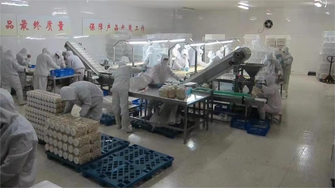 Shandong Sinofarm Food Co., Ltd. factory image 3