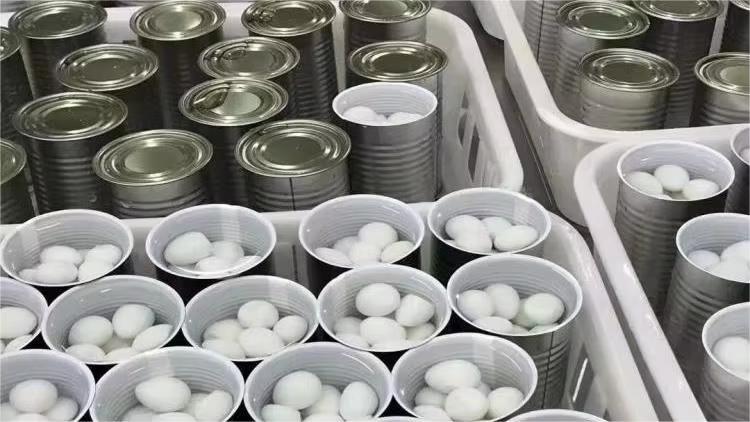 Shandong Sinofarm Food Co., Ltd. factory image 5