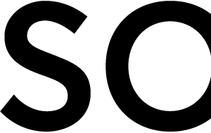 Company icon