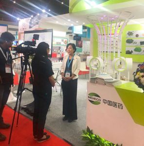 Traditional Chinese Medicines