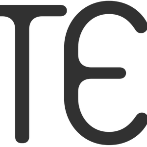 Company icon