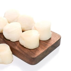 Sea Scallops Adductor