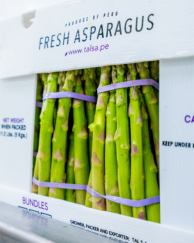 Fresh Asparagus