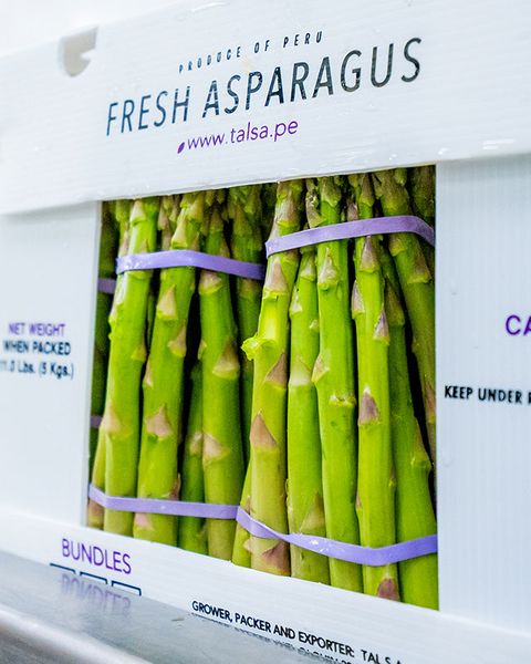Fresh Asparagus