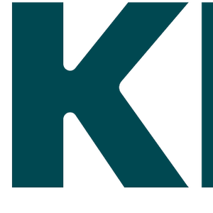 Company icon
