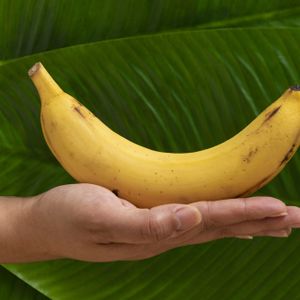 banana puree