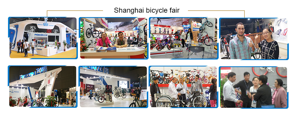 TJ Pigeon (Tianjin) Technology Co., Ltd. Electric Tricycles