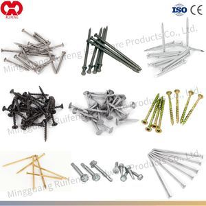 Nail Supplies: 4D-40d Bulk Nails, Common Nails, Wood Nails, Concrete Nail, Iron Nails, Drywall Screws, Stainless Steel Nails, Loose Nails Used on Wood Furniture