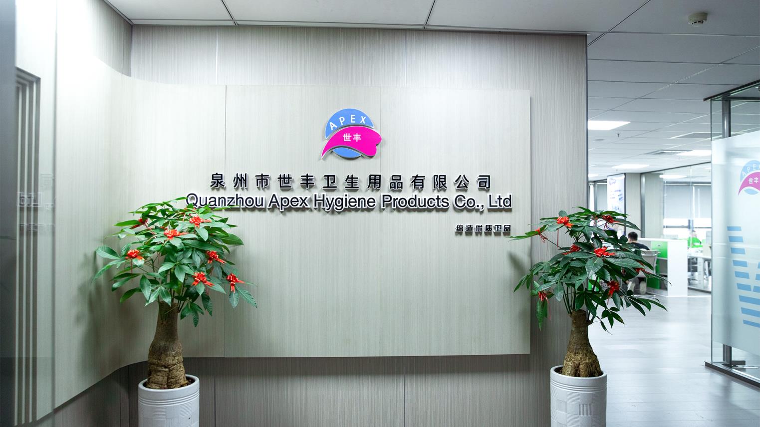 Quanzhou Apex Hygiene Products Co., Ltd. Adult Diaper