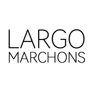 Company icon