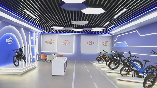Changzhou Mario Ebike Co., Ltd. Electric Bikes