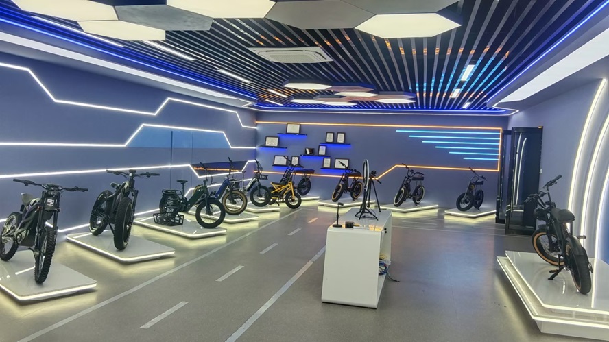 Changzhou Mario Ebike Co., Ltd. Electric Dirt Bikes