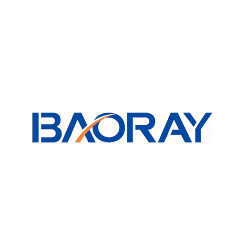 Dongguan Baoray Industry Co., Ltd. logo