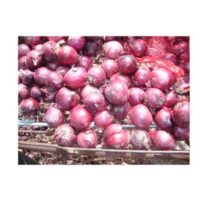 Wholesale Chinese Red Onions Fresh Vegetables Bulk Natural Fresh Wholesale Red Fresh Onions High Quality Onions for Sale