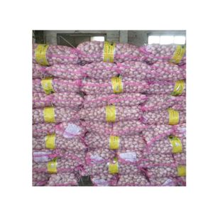 Fresh Garlic Specifications Wholesale High Quality Fresh Vegetables 40FT Lowest Wholesale Price
