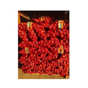 New Crop Premium Red Onions for Sale High Quality 20kg Net Bag Bulk Fresh Yellow Onions
