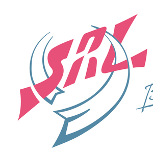Company icon