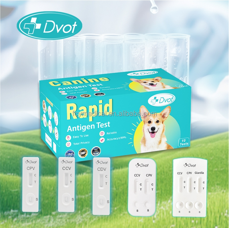 One-Step Diagnostic Rapid Kit for Canine Antigen CDV Test Medical Equipment for Dog Owners Veterinary Instrument