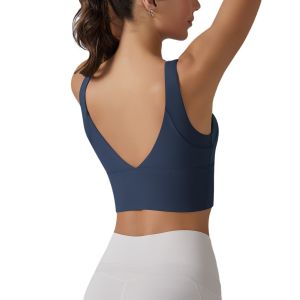 Dropshipping V-Shape Beauty Sportswear High Elastic One-Piece Cup Sports Bra for Running Fitness Yoga
