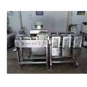 Dynamic Roller Checkweigher Conveyor Check Weight Machine OEM Customizable Steel Dynamic Roller Scaler Checkweigher Weighing
