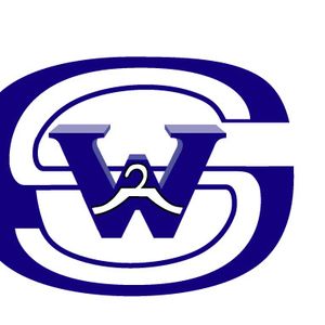 Company icon