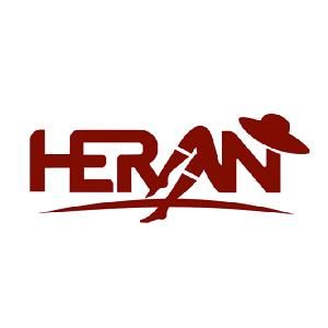 Company icon