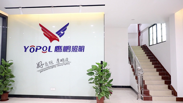 Foshan City Nanhai Yingpeng Lighting Co., Ltd. LED Downlight