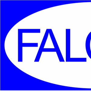 Company icon