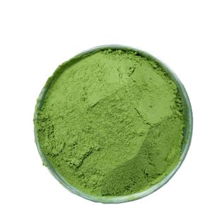 OEM Factory Direct Spinach Powder Bulk Dried and Baked Manufactured in China High Quality Single Spices & Herbs
