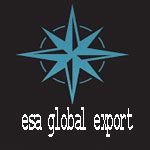 Company icon