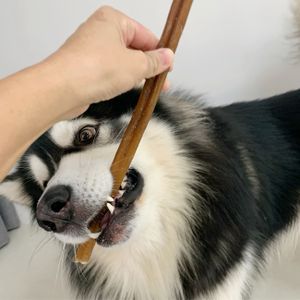 OEM ODM Healthy Natural Pet Food Dog Snacks Remove Bad Breath Dried Beef Pizzle Pet Dog Treats