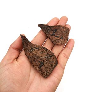 OEM ODM Natural Pet Food Dog Cat Treats Dry Food Supply Natural Teeth Grinding Stick Dried Beef Lung