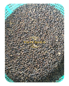 Best Seller For Wholesale Dried Papaya Seed Supplier Herb For Drink From VietChoice Made In Vietnam Manufacturer High Quality