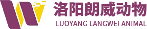 Company icon