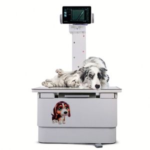 YSF20V-B Portable Mobile Veterinary Equipment 20kw/320mA X-Ray Machine for Animal Hospital and Zoo High Diagnosis Performance