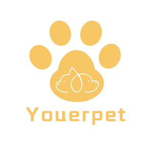 Company icon