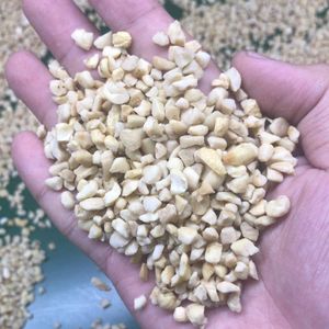 Wholesale Low Fat Raw and Fresh SP Cashew Kernels Whole and Broken Nut Snack Made in Vietnam