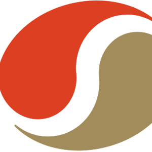 Company icon