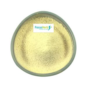 FocusHerb Supply Fat-Soluble Vitamin K1 Powder Phylloquinone 1% 1.3% 2% Vitamin K1