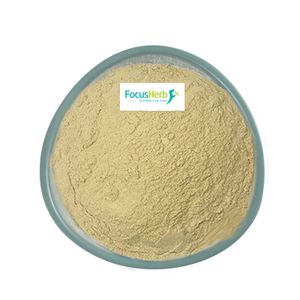 FocusHerb Natural Hesperidin Powder Citrus Aurantium Extract 98% Hesperidin