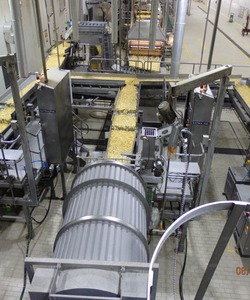 Best Premium Snack and Food Processing Machines High Productivity with Portioning and Seasoning Packaging Solutions