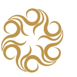 Company icon