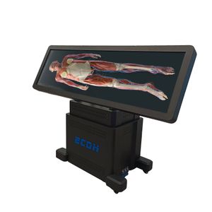 Virtual Anatomy Table  Interactive Dissection Table  Anatomy Education Equipment  Medical Training Tool