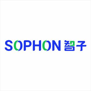 Company icon